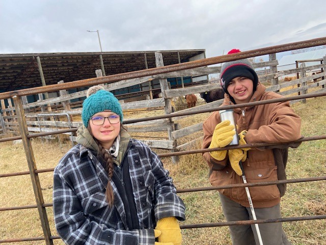 Jack & Abby Working Weaning